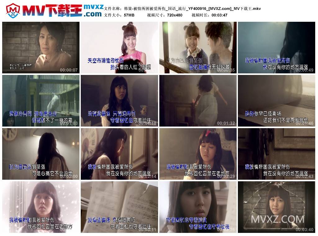 韩策-被情所困被爱所伤_国语_流行_YF400916